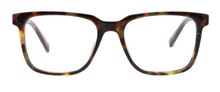 Load image into Gallery viewer, Peepers Reading Glasses - Dawn &amp; Renée Boutique
